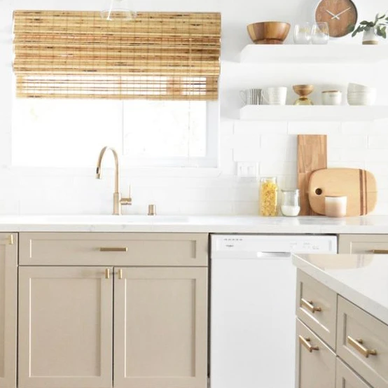 Mist Beige Shaker.webp