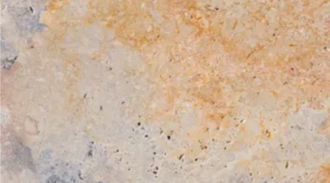 PAVER COLLECTION - TRAVERTINE PAVERS - COUNTRY CLASSIC POOL COPING (4" x 9" x 4", Bullnose)