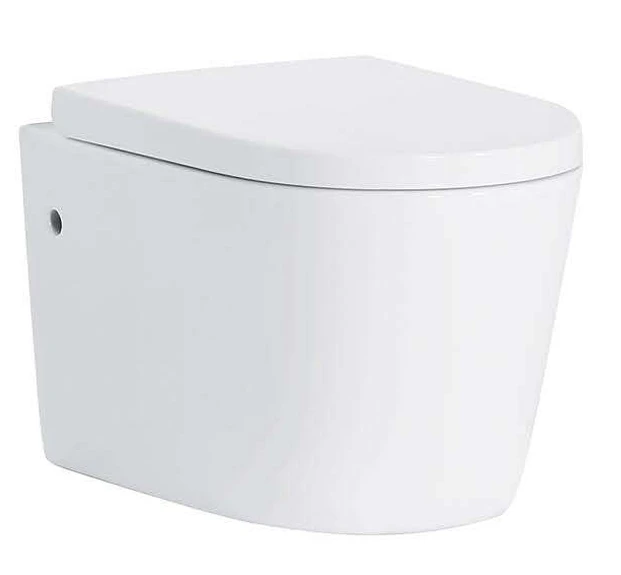 [KDK-302] Washdown Wall-Hung Toilet White Round