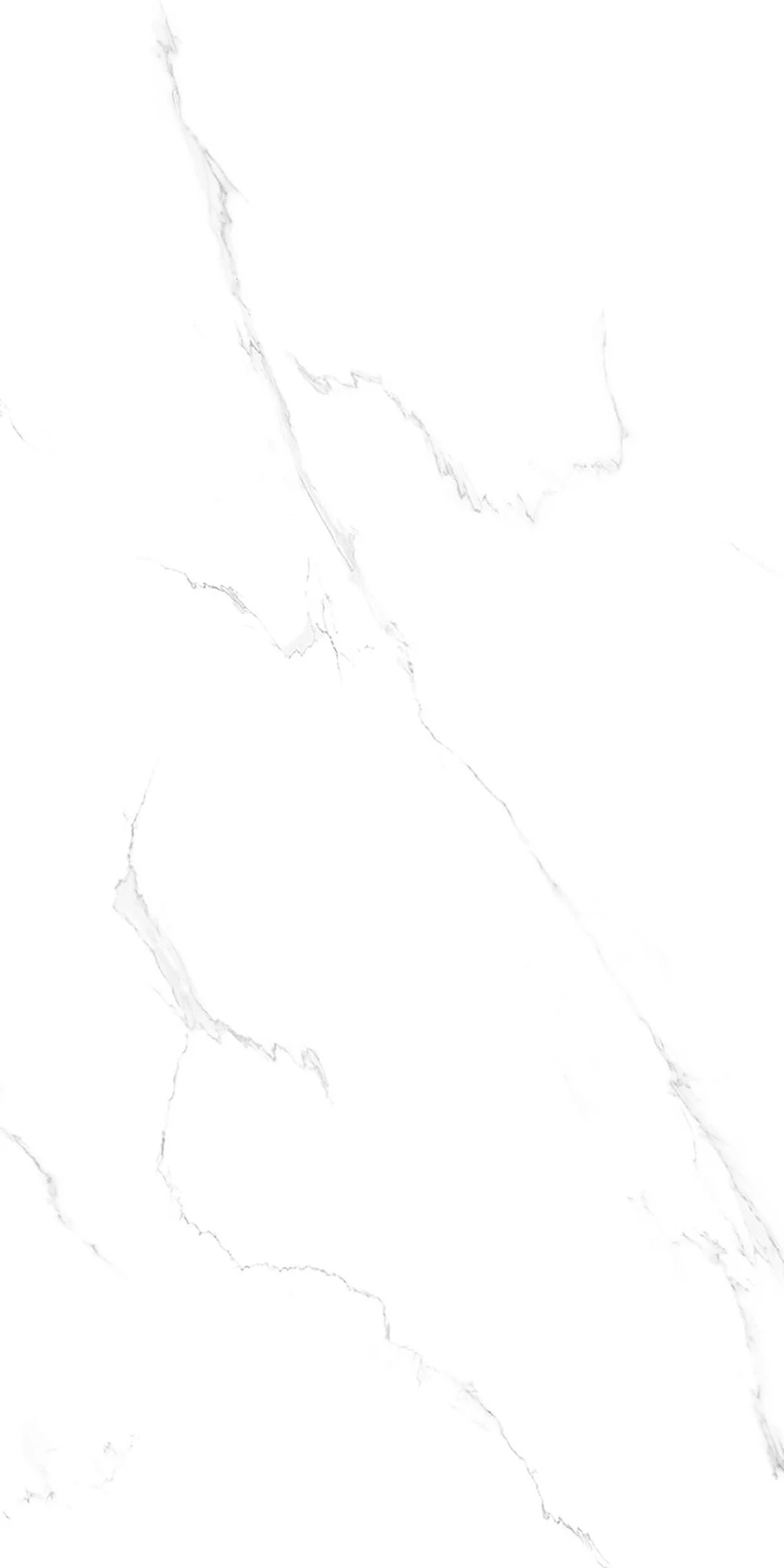 Snowy Carrara (24 x 48)