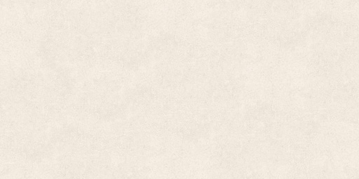 Norway Cemento (24 x 48)