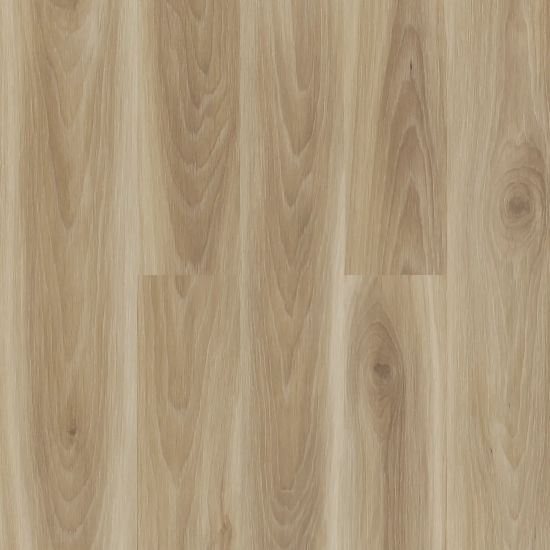 KANEOHE BAY LIGHT 5mm