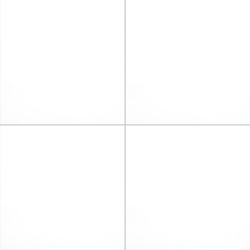 DOMINO WHITE (12 x 24, Polished)