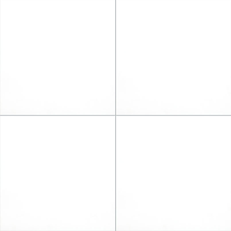 DOMINO WHITE (12 x 24, Polished)