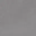 CITIZEN SUBJECT LP 24X48