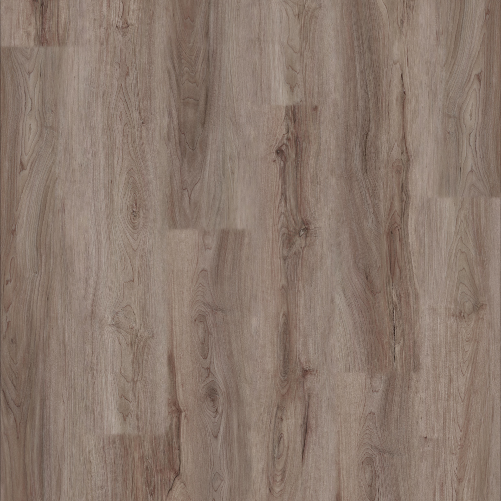 AMAZON DRIFTWOOD - SOUTH Collection