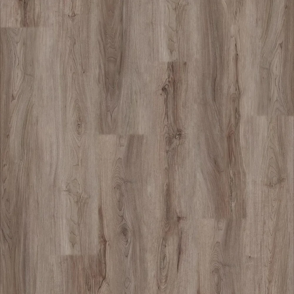 AMAZON DRIFTWOOD - ¡VIVA! Collection