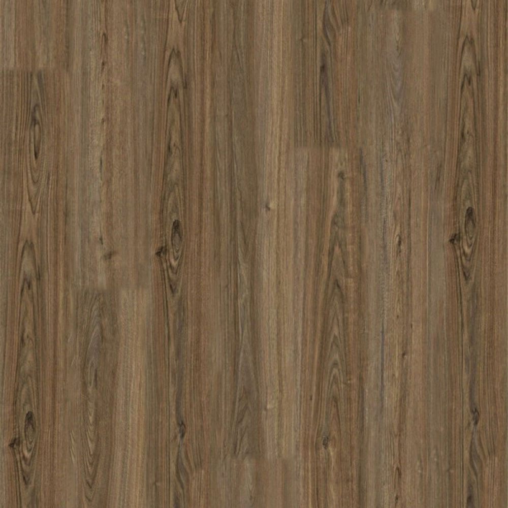 MACHU MOCHA - ¡VIVA! Collection 