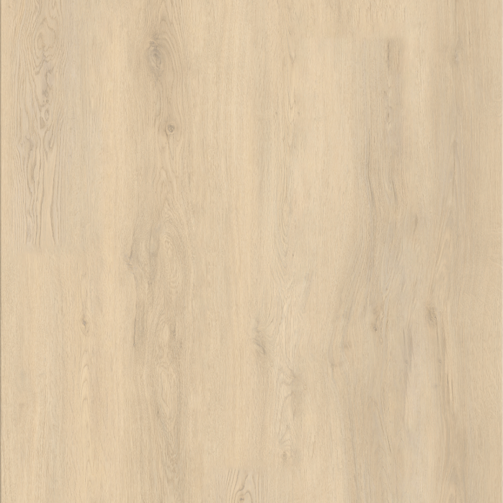 BARBADOS OAK - ¡VIVA! Collection