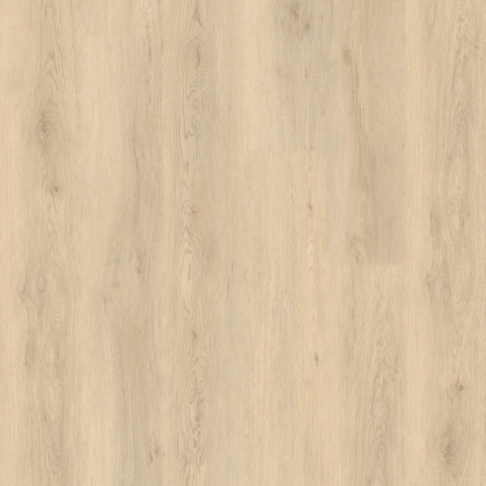 EverSHIELD XL Collection