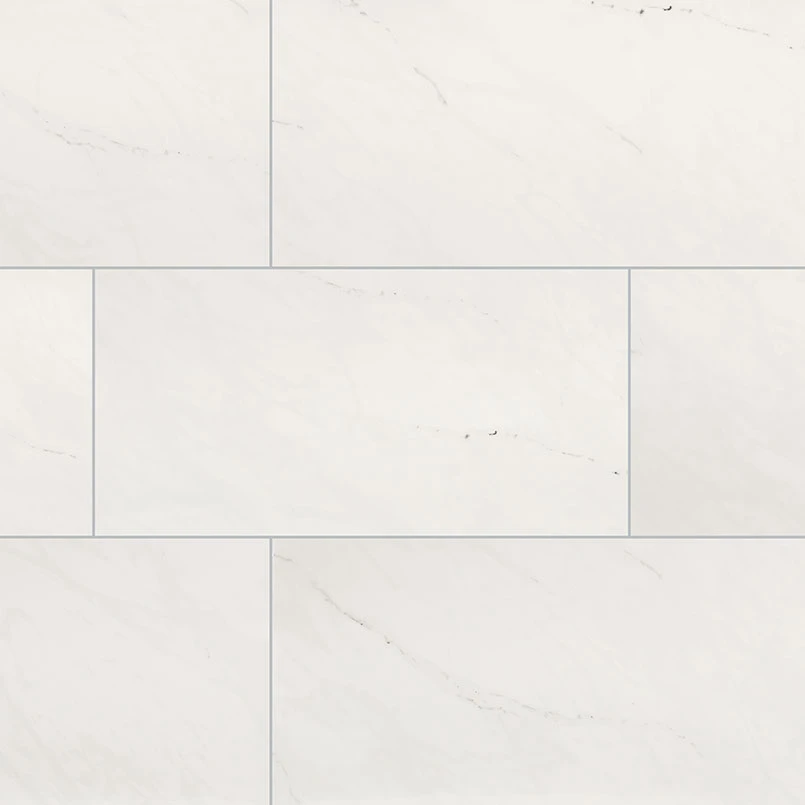 [NARICE2448P] ARIA ICE (24 x 48)