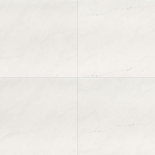 [NARICE2424P] ARIA ICE (24 x 24)