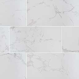 PRAIA CARRARA (12 x 24, Polished)