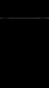 Black SM