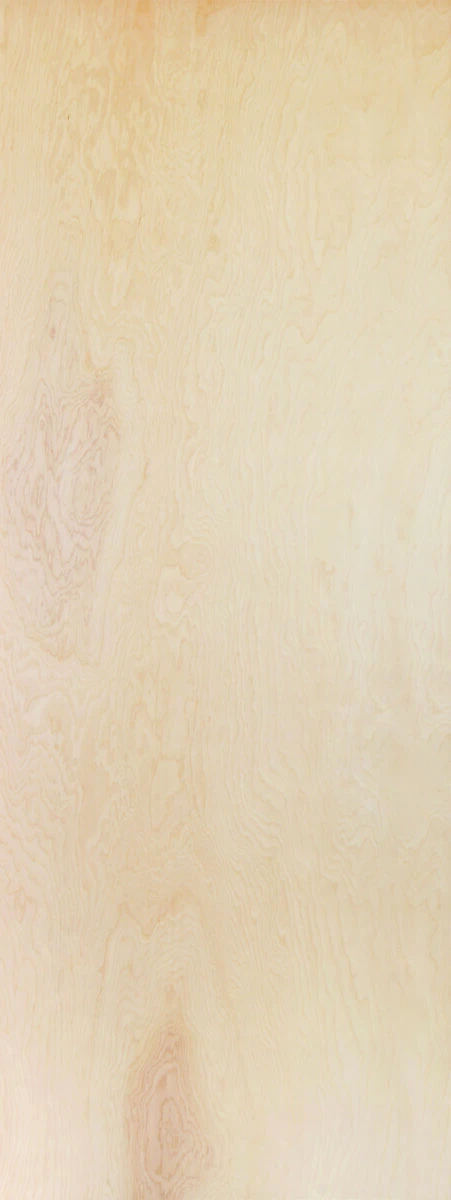[I16SCFB] SC Birch - Particle Core (1/6 x 6/8 (18" x 80"))