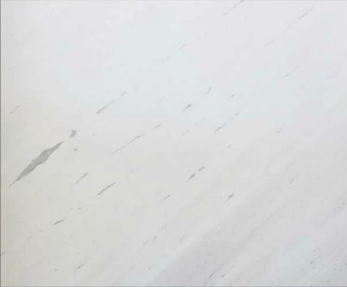 WHITE MARBLE COLLECTION - SIVEC ALTIUS (12 x 24)