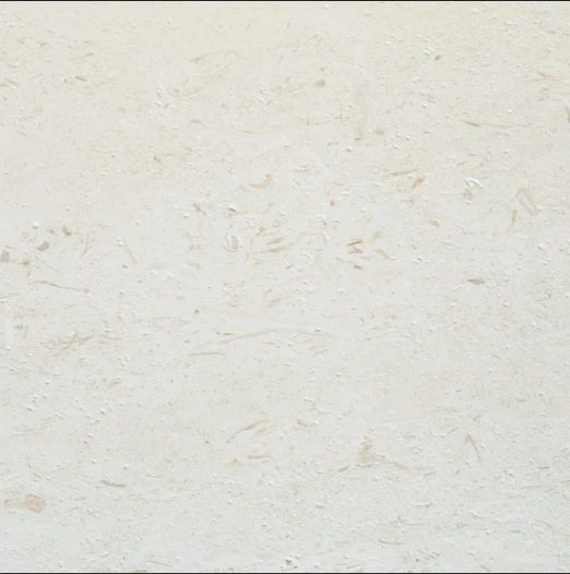 LIMESTONE COLLECTION - TILE - SHELL REEF SANDBLASTED TILES