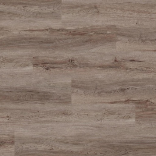 [DAR2+-CUST] AMAZON DRIFTWOOD - ¡VIVA! Collection