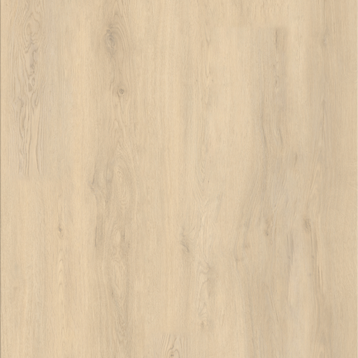 BARBADOS OAK - ¡VIVA! Collection