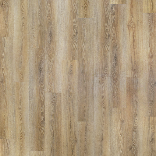 ANDES PINE - ¡VIVA! Collection